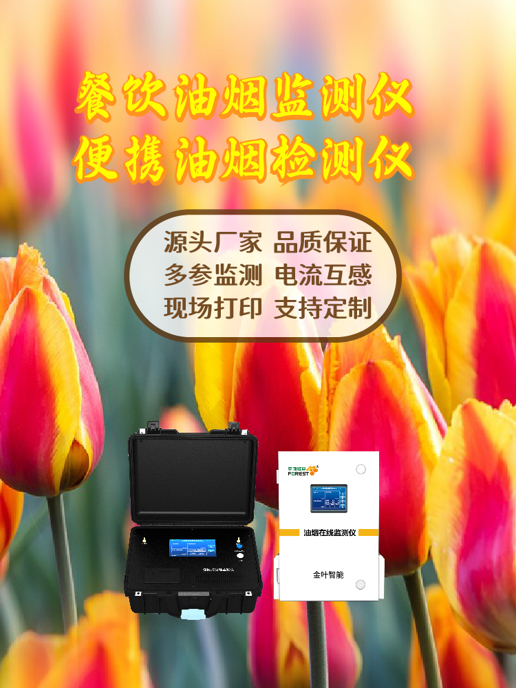 萍乡油烟在线监测设备：精准监控，助力餐饮环保治理